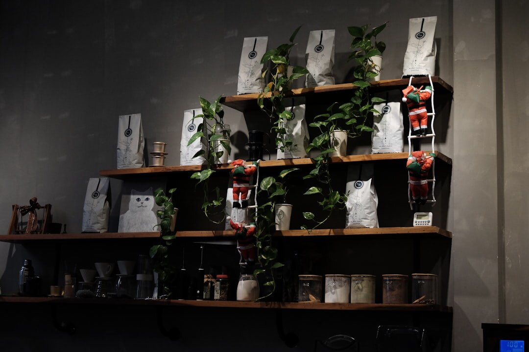 cozy cafe interior