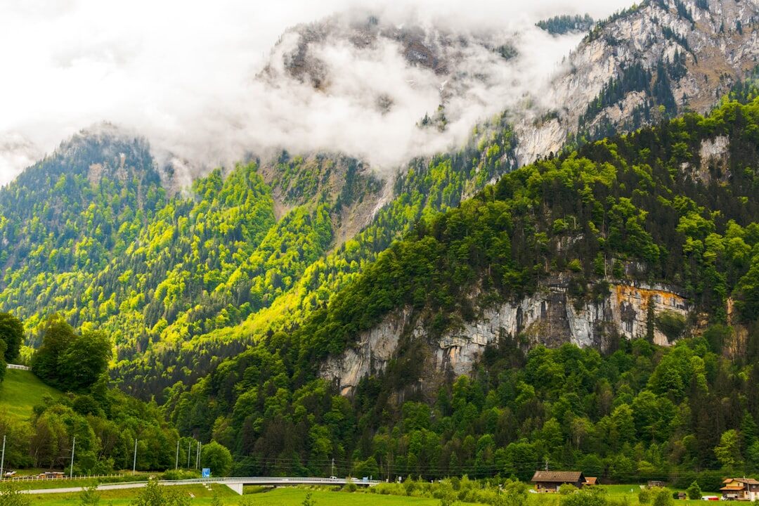alpine chalet switzerland